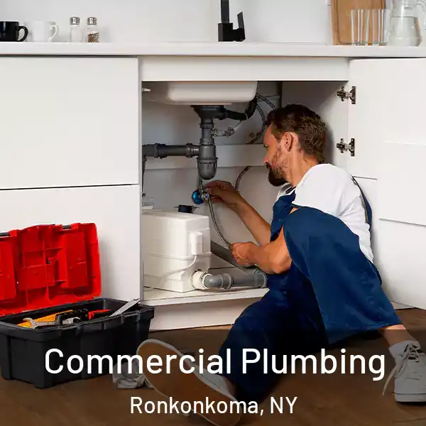  Commercial Plumbing Ronkonkoma, NY