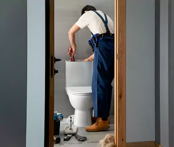 Professional Plumbers for Toilet Bowl Replacement in Ronkonkoma, NY: Schedule Affordable Toilet Replacement Services With Us