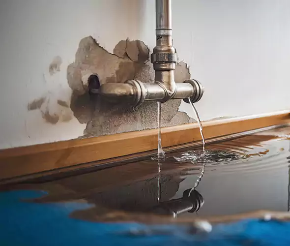 Professional Water Damage Restoration Experts in Ronkonkoma, NY — Fast, Reliable & Certified