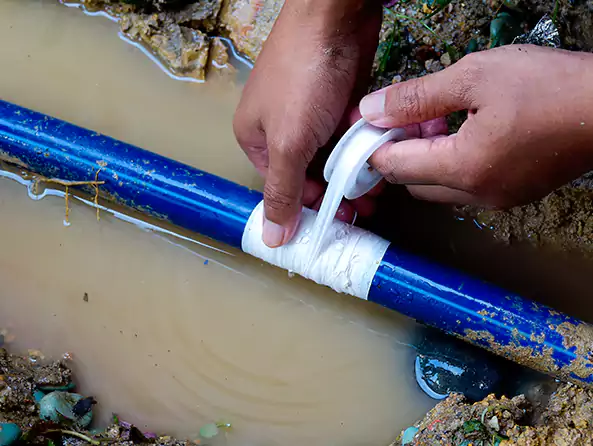  Why Choose Ronkonkoma Plumbing Pro for Leak Detection in Ronkonkoma, NY?]