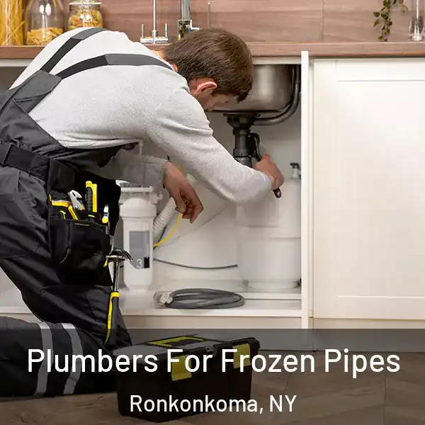 Plumbers For Frozen Pipes Ronkonkoma, NY