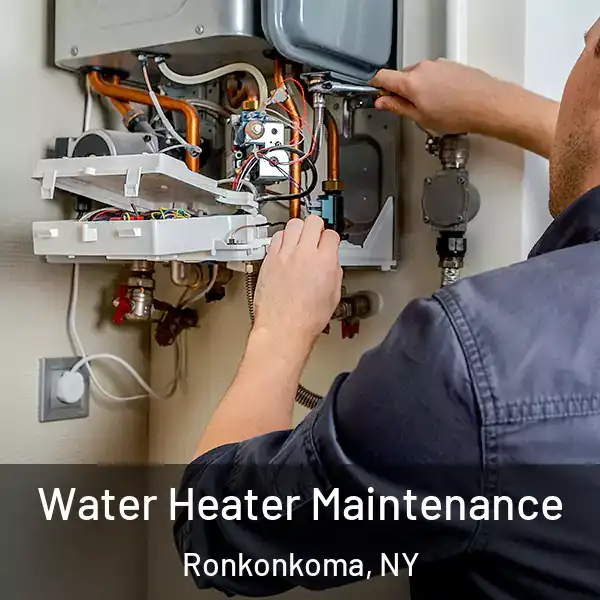  Water Heater Maintenance Ronkonkoma, NY